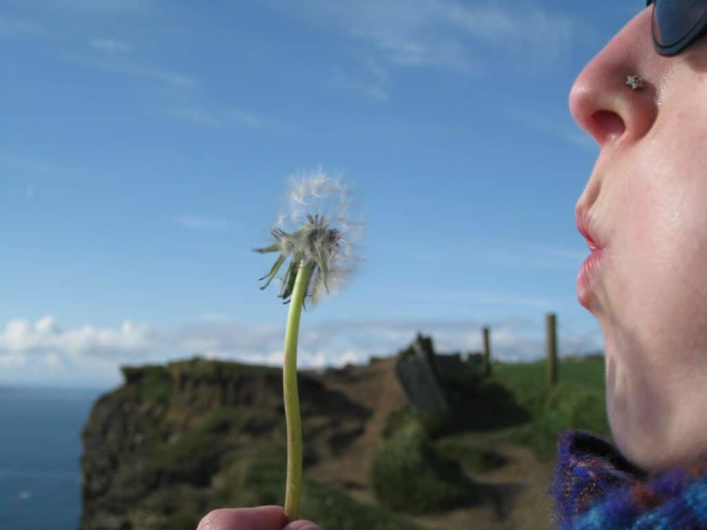 Close-up of a woman blowing seeds off of a dandelion head