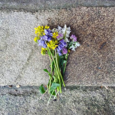 Bouquet for Wildflowers on a Doorstep